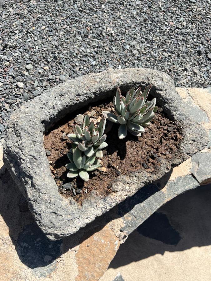Casa Rural Con Bano Adaptado Y Piscina En Mogán Exteriér fotografie