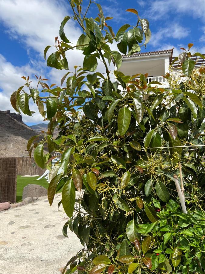Casa Rural Con Bano Adaptado Y Piscina En Mogán Exteriér fotografie